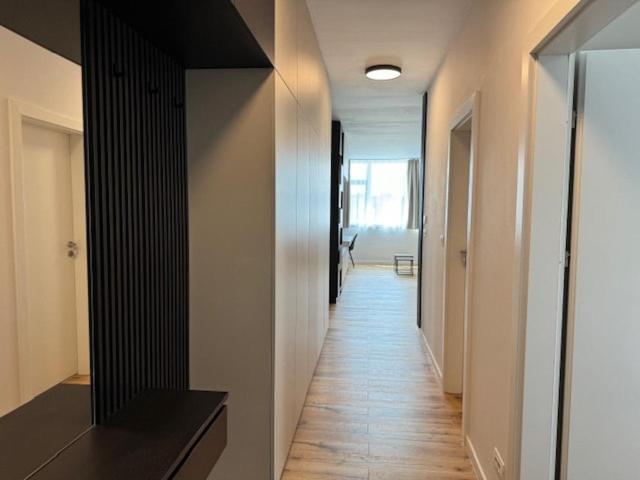 טימישוארה Joy City Stay Nord One N2-52 מראה חיצוני תמונה